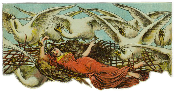 Caucasian woman and animals